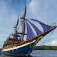 Sea Safari VI