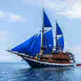 Sea Safari VI