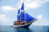 Sea Safari VI