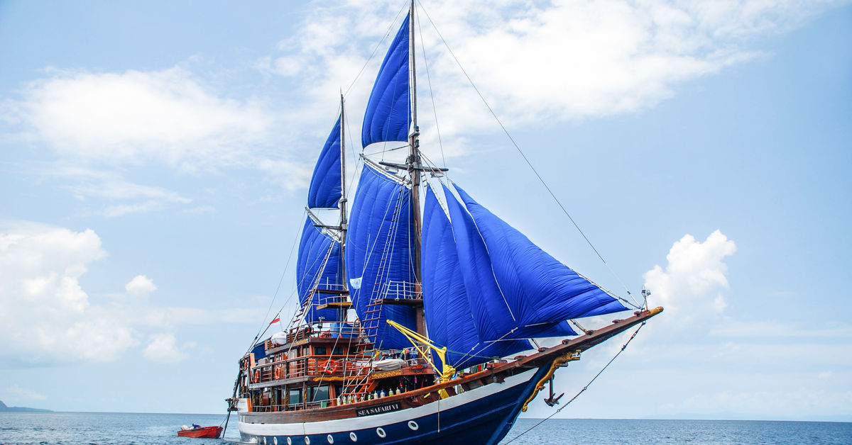 Sea Safari VI — vessel photograph