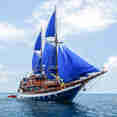 Sea Safari VI