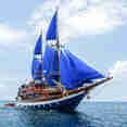 Sea Safari VI