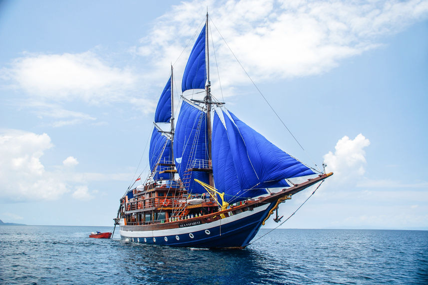 Sea Safari VI