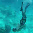 Snorkeling - Giamani