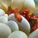 Anemone with crab closeup