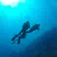 Diving