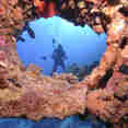 Diving