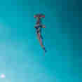 Vie aquatique - Theia