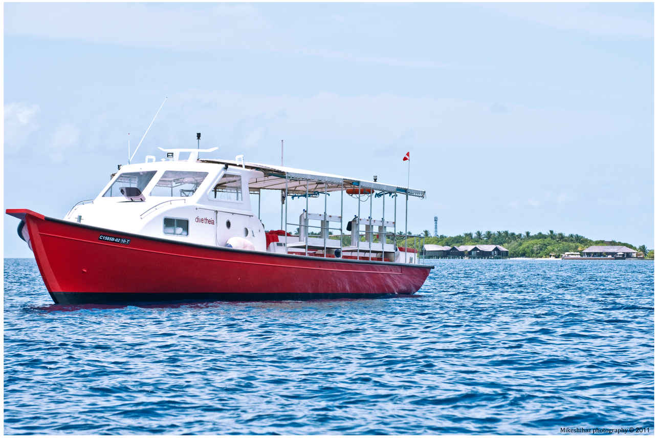 Дони - Dune Theia