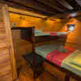 Standard Cabin - Ondina