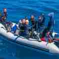 Tenders for diving - Ondina