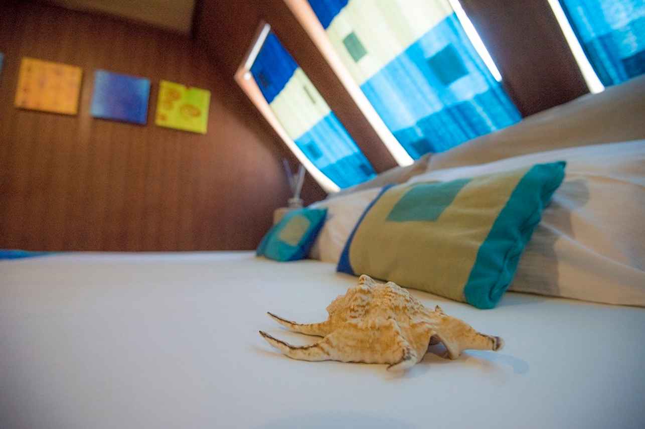 Ocean View Cabin - Princess Handy