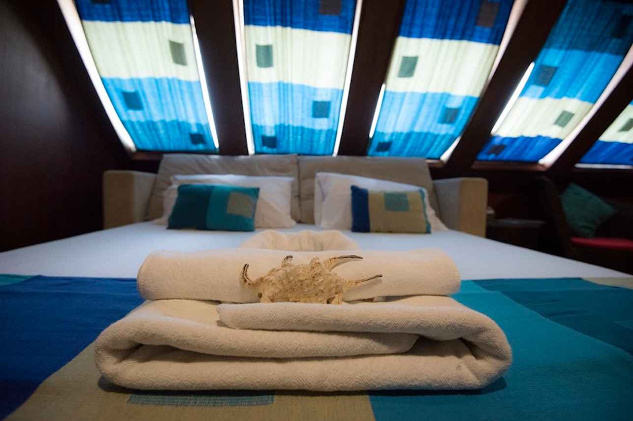 Ocean View Cabin - Princess Handy