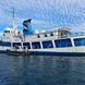 Thorfinn Liveaboard Mircronesia