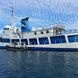 Thorfinn Liveaboard Mircronesia