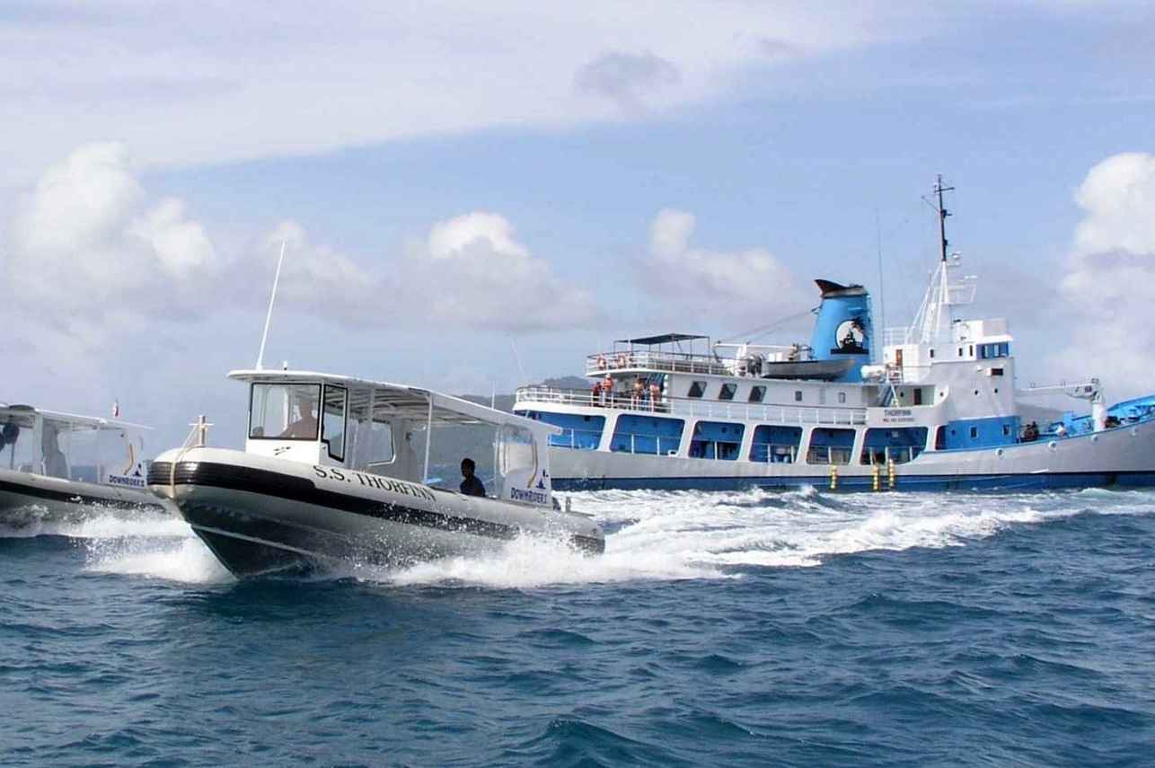 Thorfinn & Dive Tenders