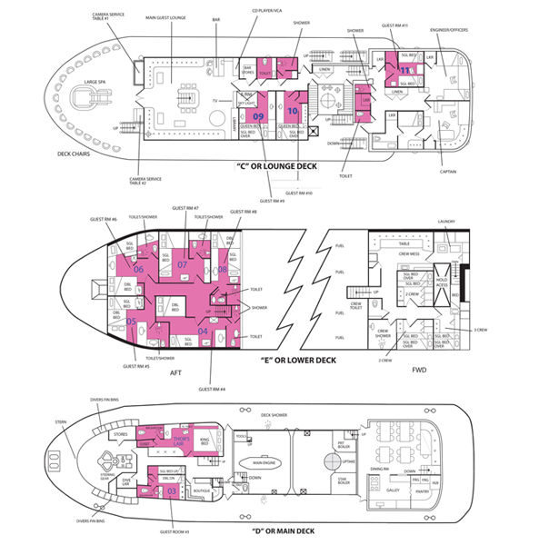 Thorfinn floorplan