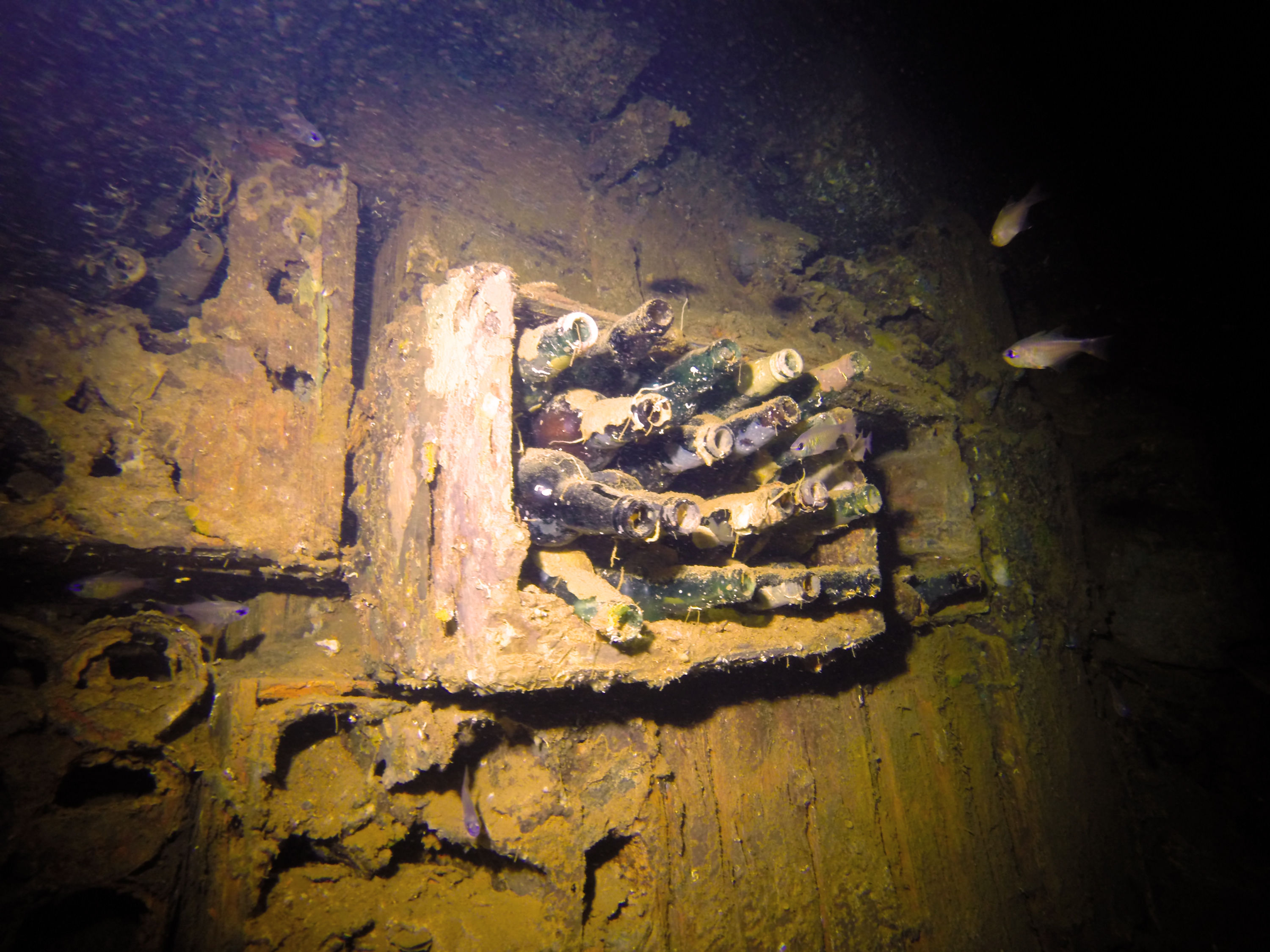 Wreck of Rio de Janeiro Maru, Micronesia