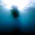 Diving Micronesia