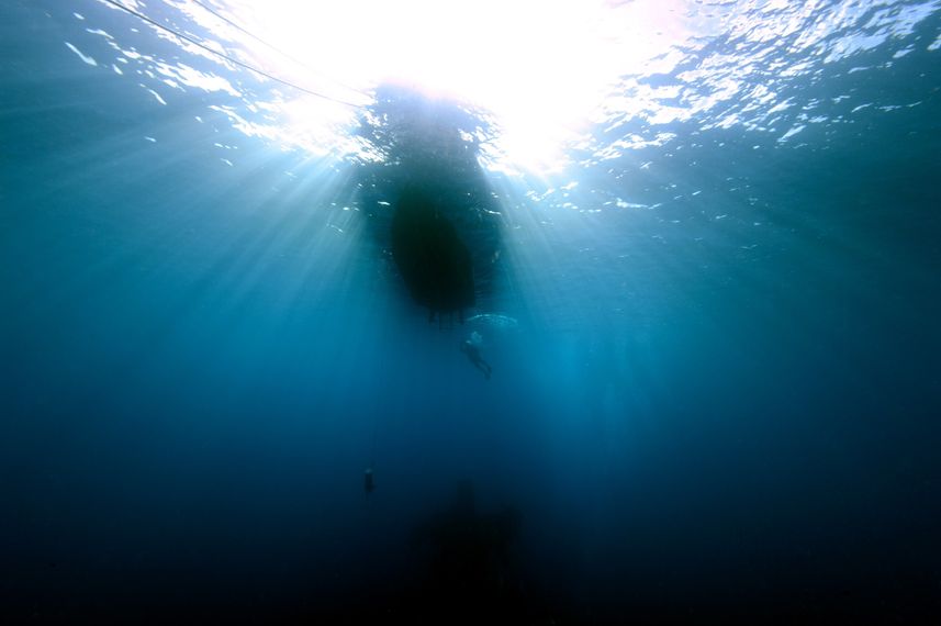 Diving Micronesia