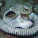 Fujikawa Gasmask Micronesia