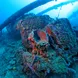 Amagisan Maru Micronesia