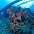 Amagisan Maru Micronesia