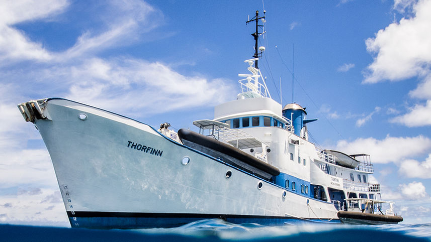 Thorfinn Liveaboard Mircronesia