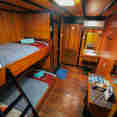 Standard Bunk Cabin - Sea Safari 8