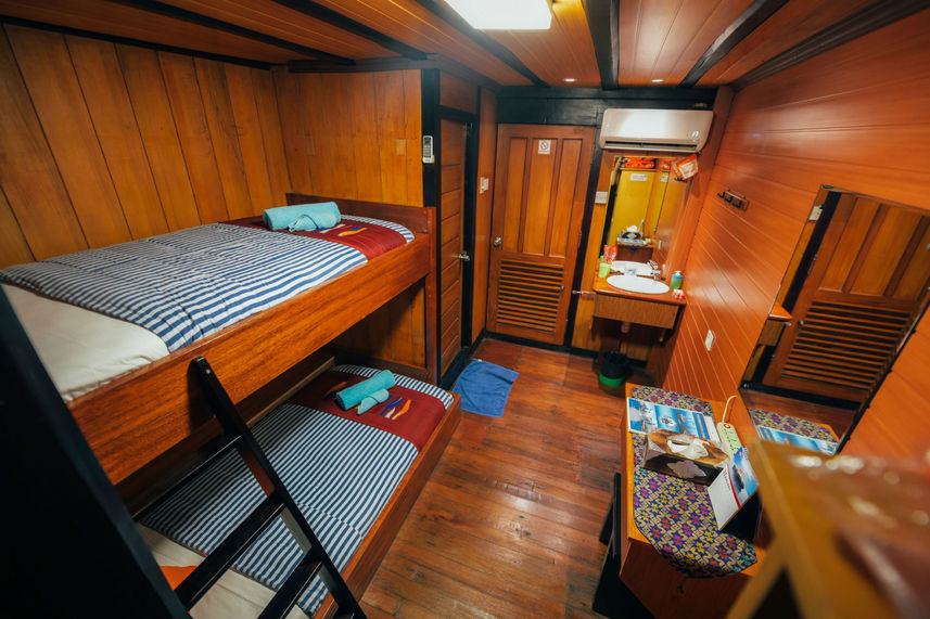 Standard Bunk Cabin - Sea Safari 8