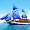 Sea Safari 8