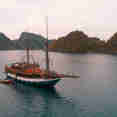 Sea Safari 8