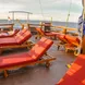 Sun Deck - Sea Safari 8