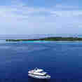 Maavahi