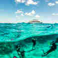 Diving
