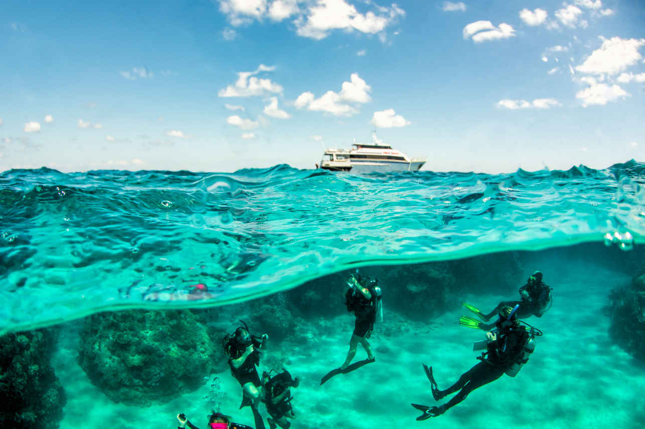 Diving