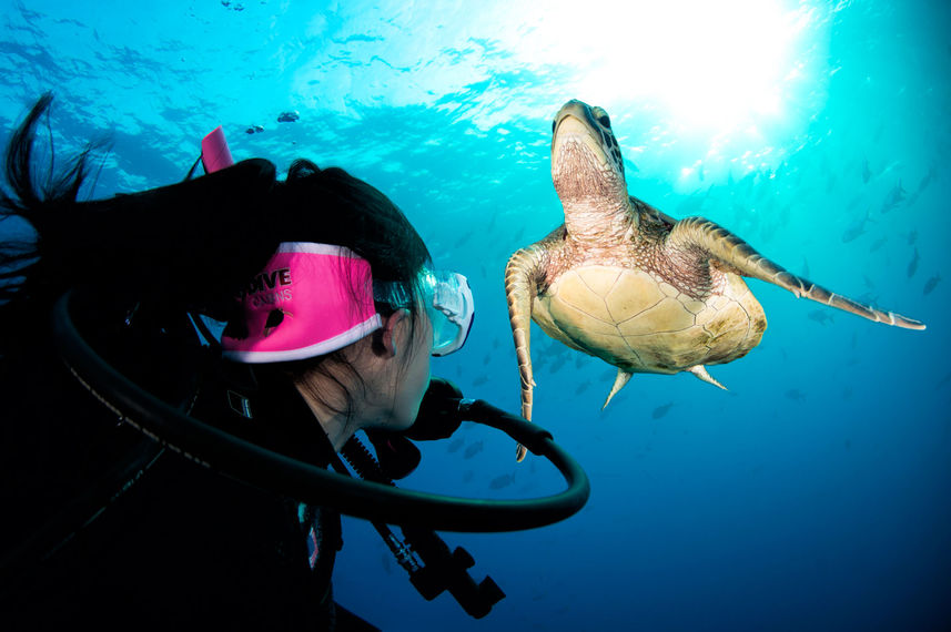 Diving