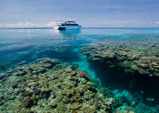 Pro Dive Cairns