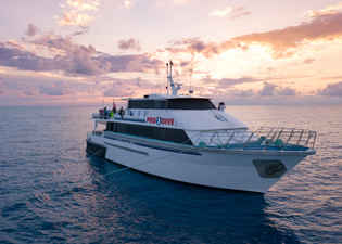 Pro Dive Cairns