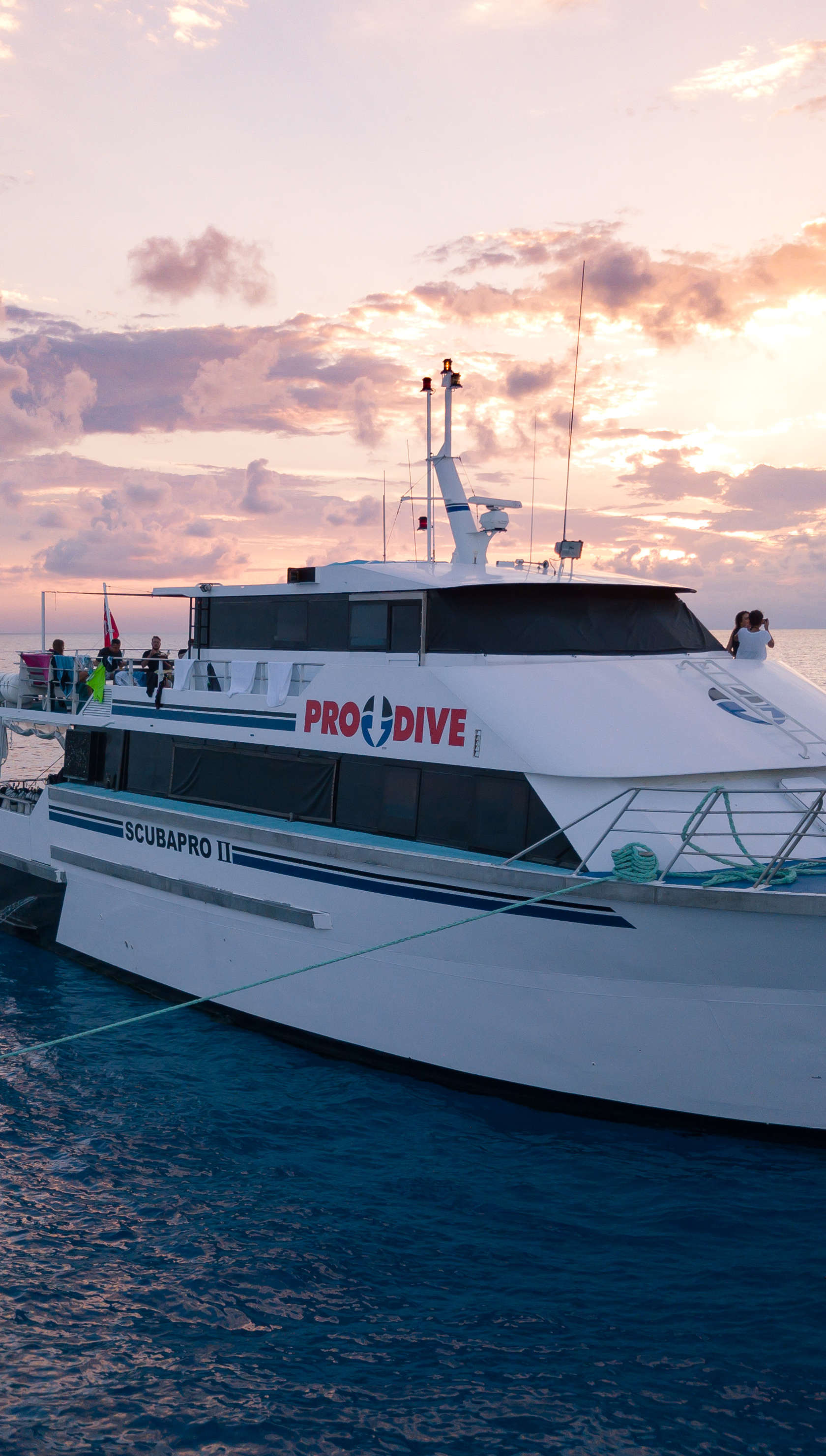 Pro Dive Cairns