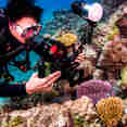 #diving