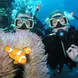 Clown Fish and anemone - ScubaPro II liveaboard