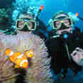 Clown Fish and anemone - ScubaPro II liveaboard