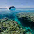 Beautiful corals and clear water - ScubaPro II