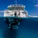 Divers returning to the ScubaPro II liveaboard