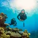 Great visibility and corals - ScubaPro III liveaboard