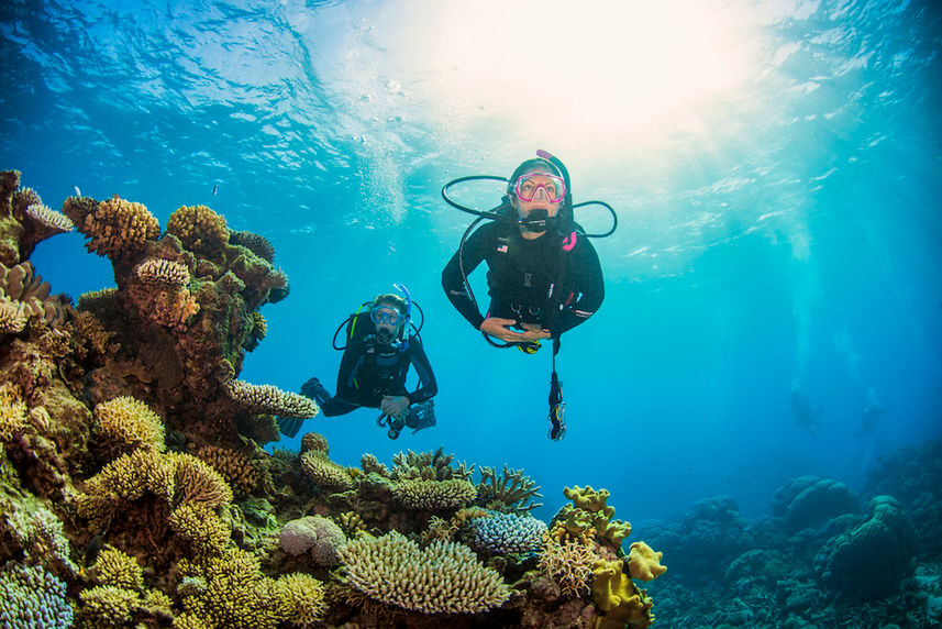 Great visibility and corals - ScubaPro III liveaboard