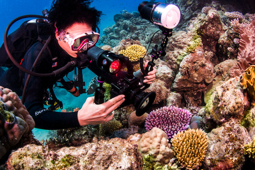 Plenty of photo opportunities - ScubaPro III liveaboard