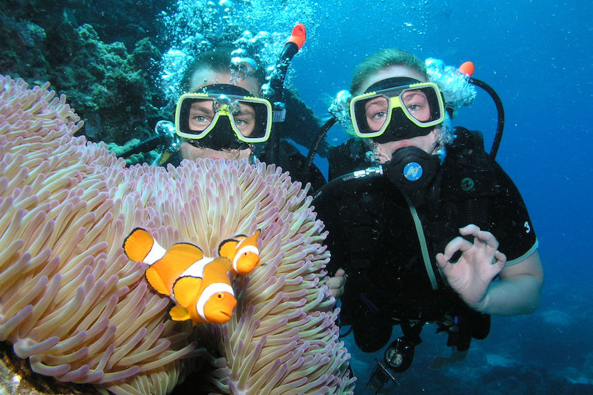 Finding Nemo? Clown fish and anemone - ScubaPro III