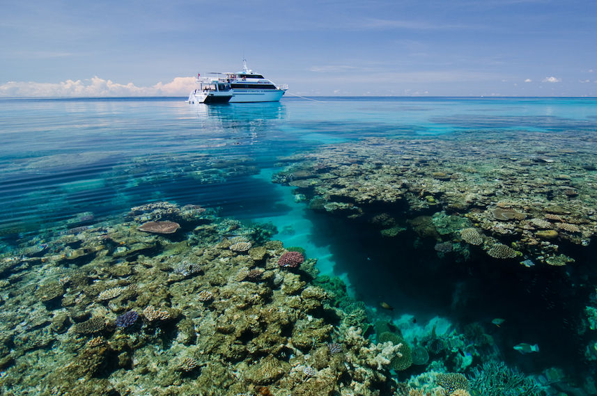 Beautiful corals and water - ScubaPro III